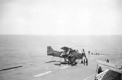 Cod Gannet 1